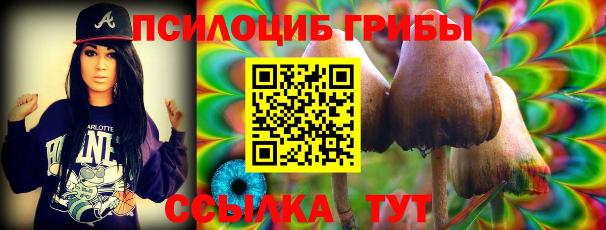 Псилоцибиновые грибы прущие грибы Каспийск