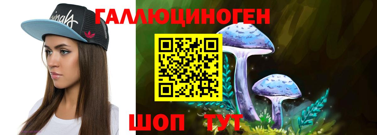 наркота  Вход с VPN  Псилоцибиновые грибы MAGIC MUSHROOMS  Каспийск  Галлюциногенные грибы мицелий 